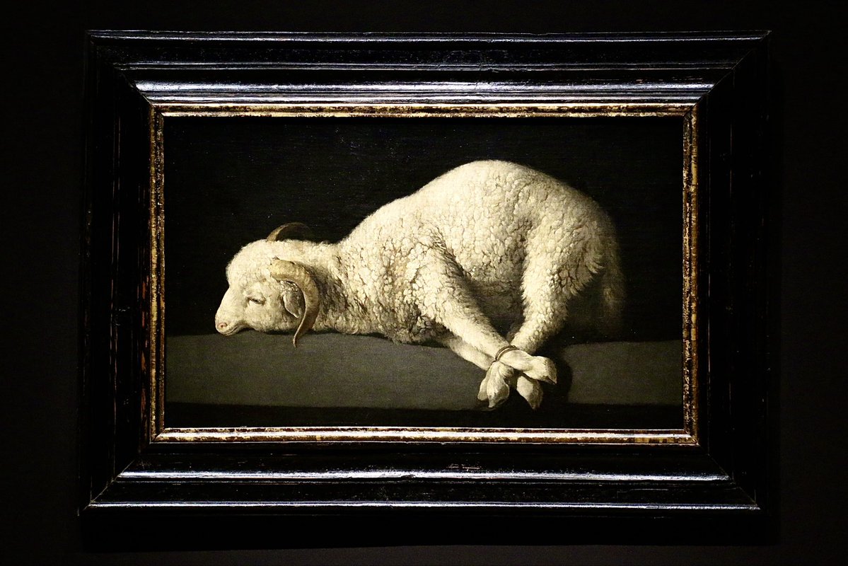 eborrajeros's tweet photo. Zurbaran at the National Gallery. Excepcional. https://t.co/O9bXj0nDtm