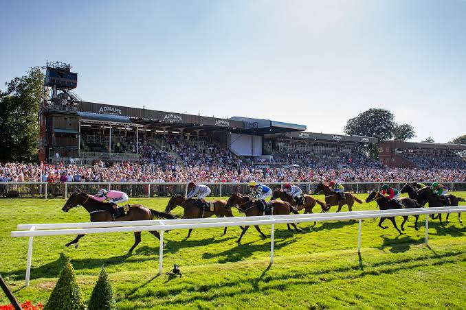 NewtsDailyLays's tweet photo. Worth Knowing (or not) Today......🤔🏇

Key stats @NewmarketRace 

➡️1:40 Newmarket - 4 of the last 10 winners trained by Charlie Appleby
➡️Trainer Charlie Appleby has a 38% SR with his 2yolds at Newmarket
➡️1:40 Newmarket - No winners from stall 1 in last 10 runnings
➡️2:52 Newmarket - Stalls 3-8 have won the last 9 runnings
➡️2:52 Newmarket - William Buick and Charlie Appleby have won 3 of the last 5
➡️3:25 Newmarket - Aalto won this in 2024 and 2nd in 2025
➡️4:00 Newmarket - Charlie Appleby has won 6 of the last 10
➡️4:00 Newmarket - The last 4 winners from stall 2
➡️4:35 Newmarket - The last winner aged 7+ was in 1938
➡️5:45 Newmarket - 6 of the last 7 winners between stalls 3-7

Have a great day 😎