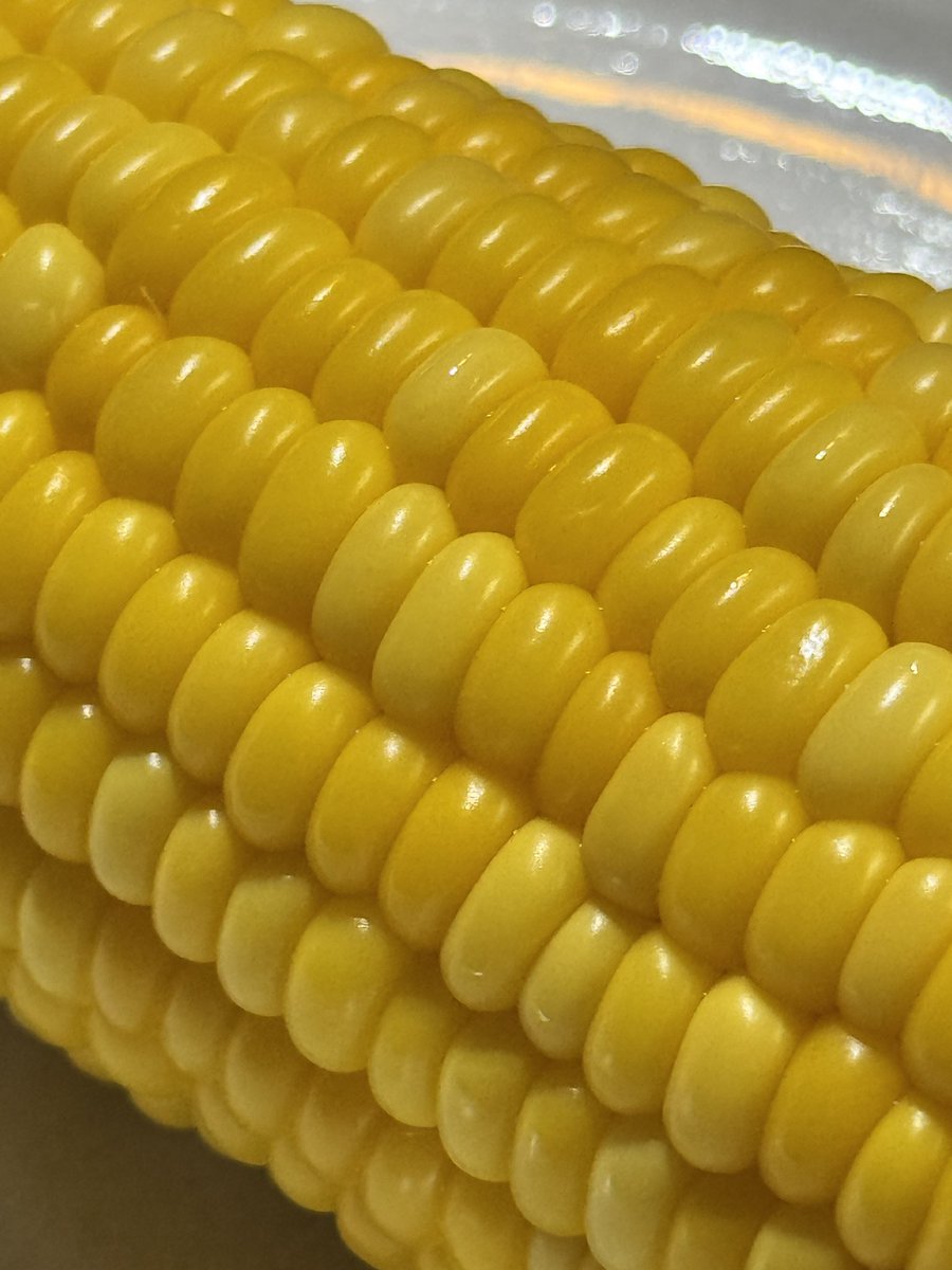 yn0728's tweet photo. つやっつやぷりっぷりのスイートコーン🌽❣️ウマウマ！！！ https://t.co/XnfBIFQWvO