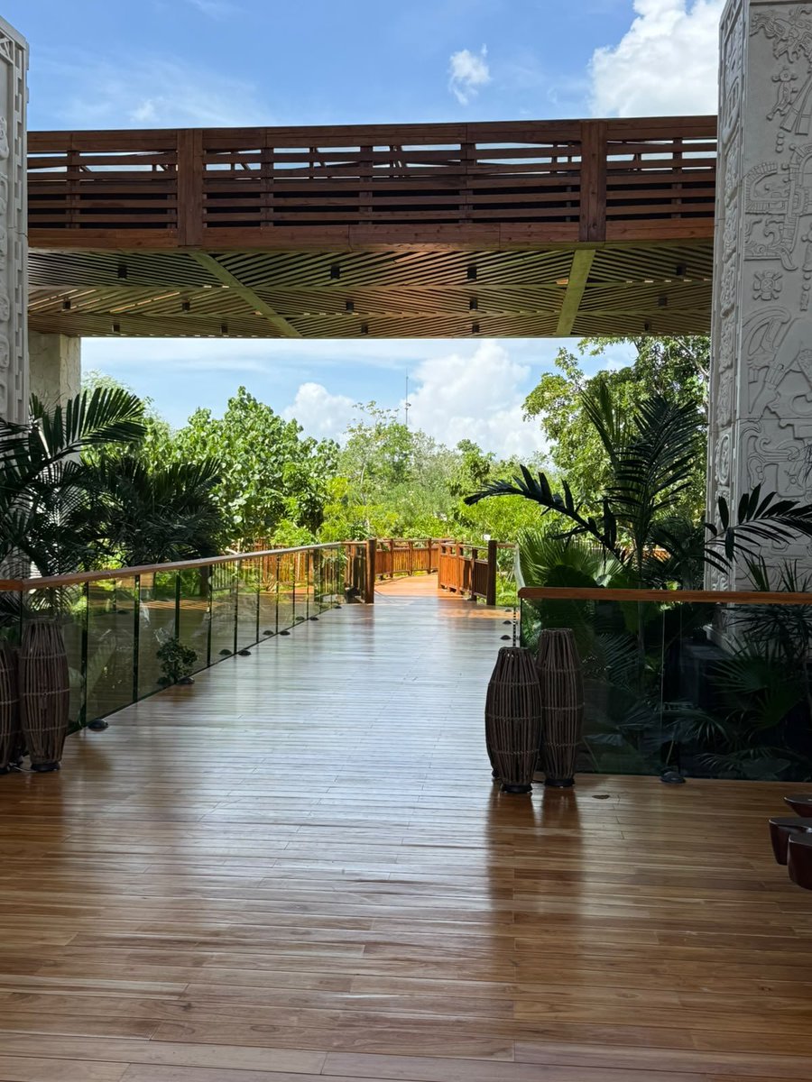 s4_r4h1's tweet photo. #MexicoEstaDeModa #HotelMaya #trenmaya 🦎🪼🐚🌴🚄 https://t.co/NmBpPWHkHd