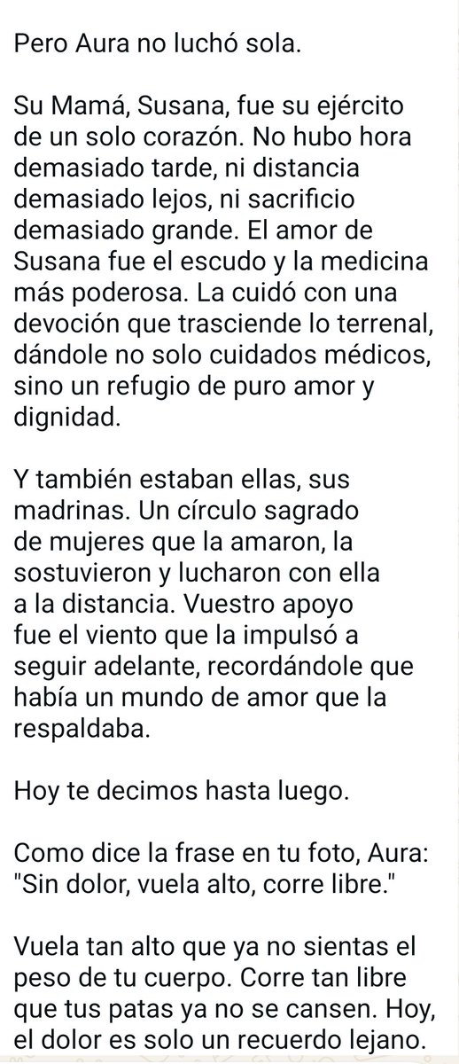 VidasSos's tweet photo. 🪽🌈#AURA🌈 🪽 Cuánto nos enseñaste,mi niña. Qué lección de fuerza y dignidad. A pesar de tus dolores por esa maldita enfermedad, sacabas la fuerza descomunal para dar amor. Desde aquí mandamos todo el cariño a su mamá Susana🩷,no hay palabras de consuelo que calmen el dolor. 🧵 https://t.co/5c2HvhJRDw
