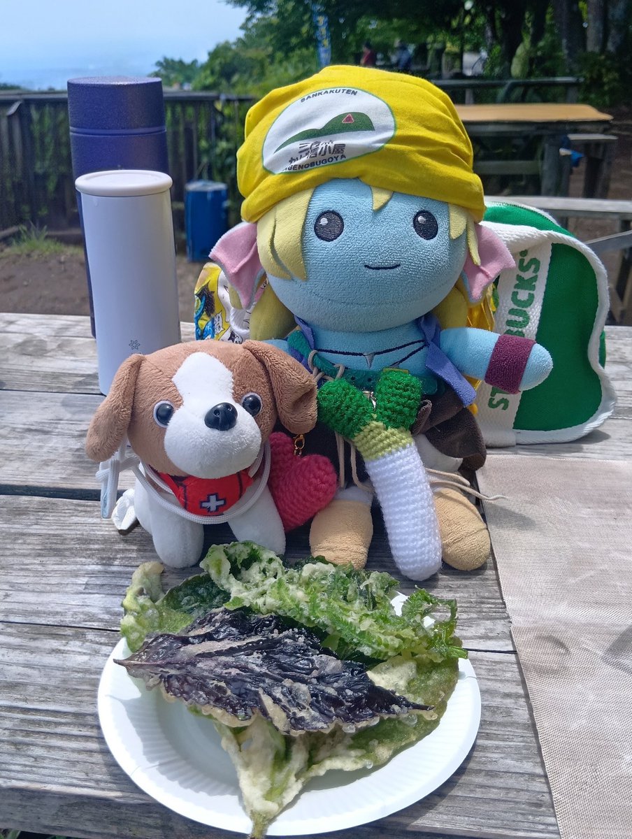 pipiyu0108's tweet photo. 久しぶりの景信山
めっちゃ暑い🥵
山頂は風が吹けば涼しい🌿
やっと天ぷら食べれた😋
何時もご馳走様です♪
ゆっくりすごせた⤴︎︎︎⤴︎︎︎
また会いに行く登山で
行きますね(^-^✿)
@mt_kgnb 
@景信山
@鬼滅の刃巡礼地
@ぬいぐるみ登山部 https://t.co/WOgpHZ9x5N