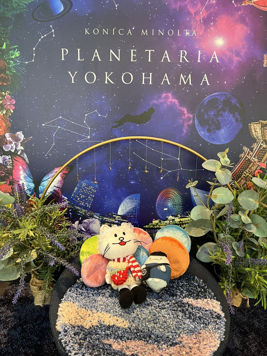 natsuki__boc's tweet photo. 『流れ星を探して feat. BUMP OF CHICKEN』

プラネタリウム行ってきました！🪐
じんと胸が熱くなる40分でした🥲

フードは「星の標本箱」という名前に惹かれてこのメニューに💫✨ https://t.co/MKQTSp4D4I