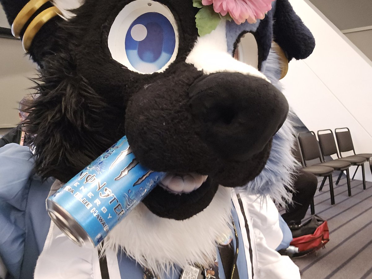 HerdingAD's tweet photo. How i survived with no sleep at AC lmfao
#anthrocon #furry #furrymeme #fursuit https://t.co/qt4M1ulTqM