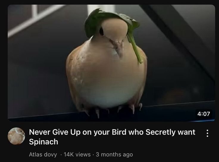 Sparrow tweet media