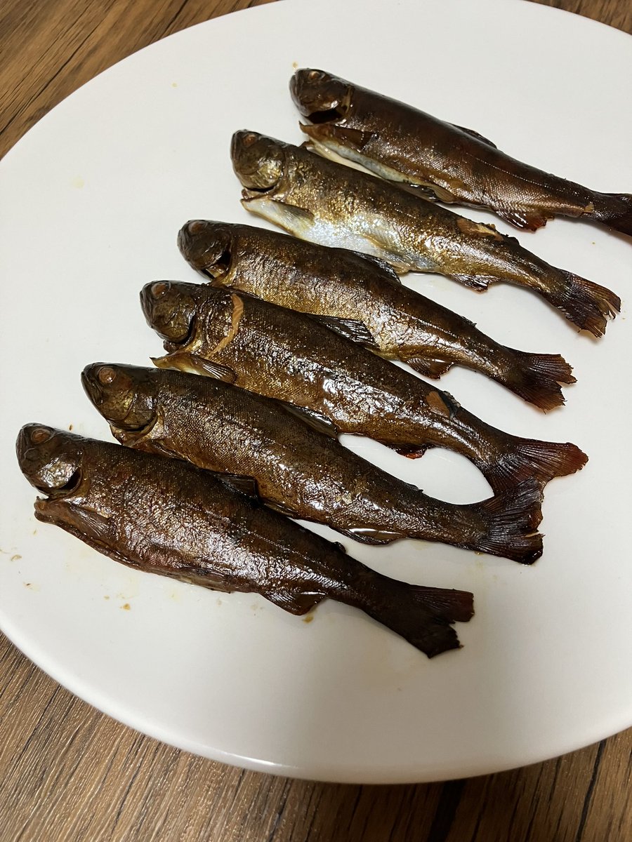 334marx's tweet photo. 薫香が落ち着くまで寝かしときます。 https://t.co/YONHCHIugf