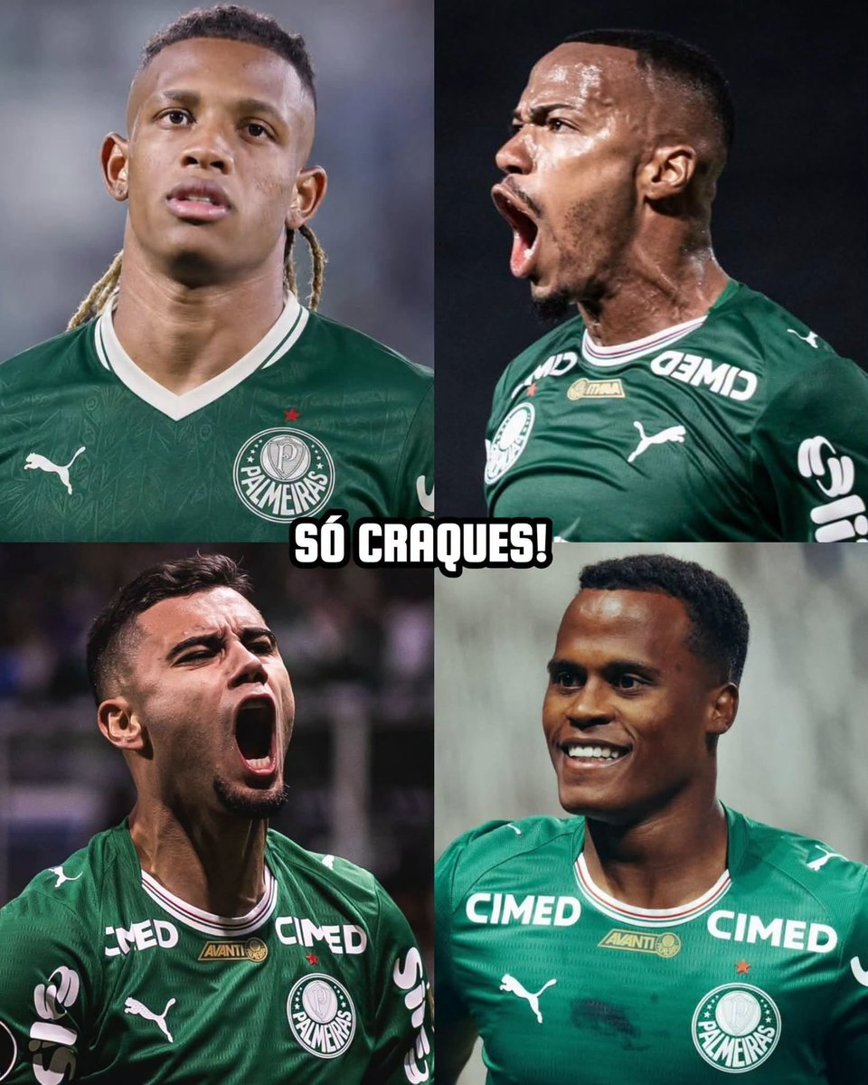marcos_edu89's tweet photo. É melhor os rivais se prepararem, porque o Palmeiras terá o melhor quarteto do futebol brasileiro. 💚🔥 https://t.co/OHCVaKBpr8