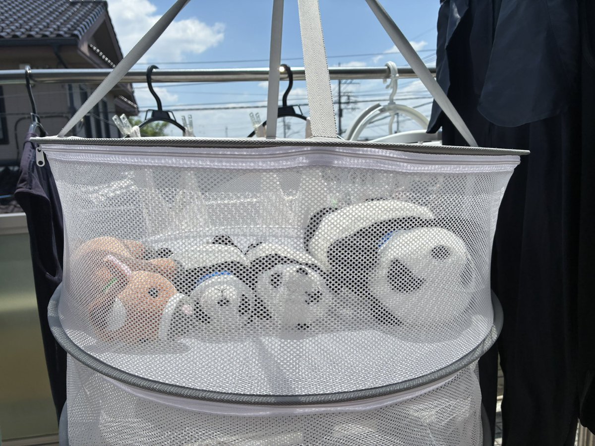 suttokopanda's tweet photo. 干物になります🐼

#ぬいどり
#ぬい撮り
#パンダ
#ぬいぐるみ https://t.co/tt7BbPKjM7
