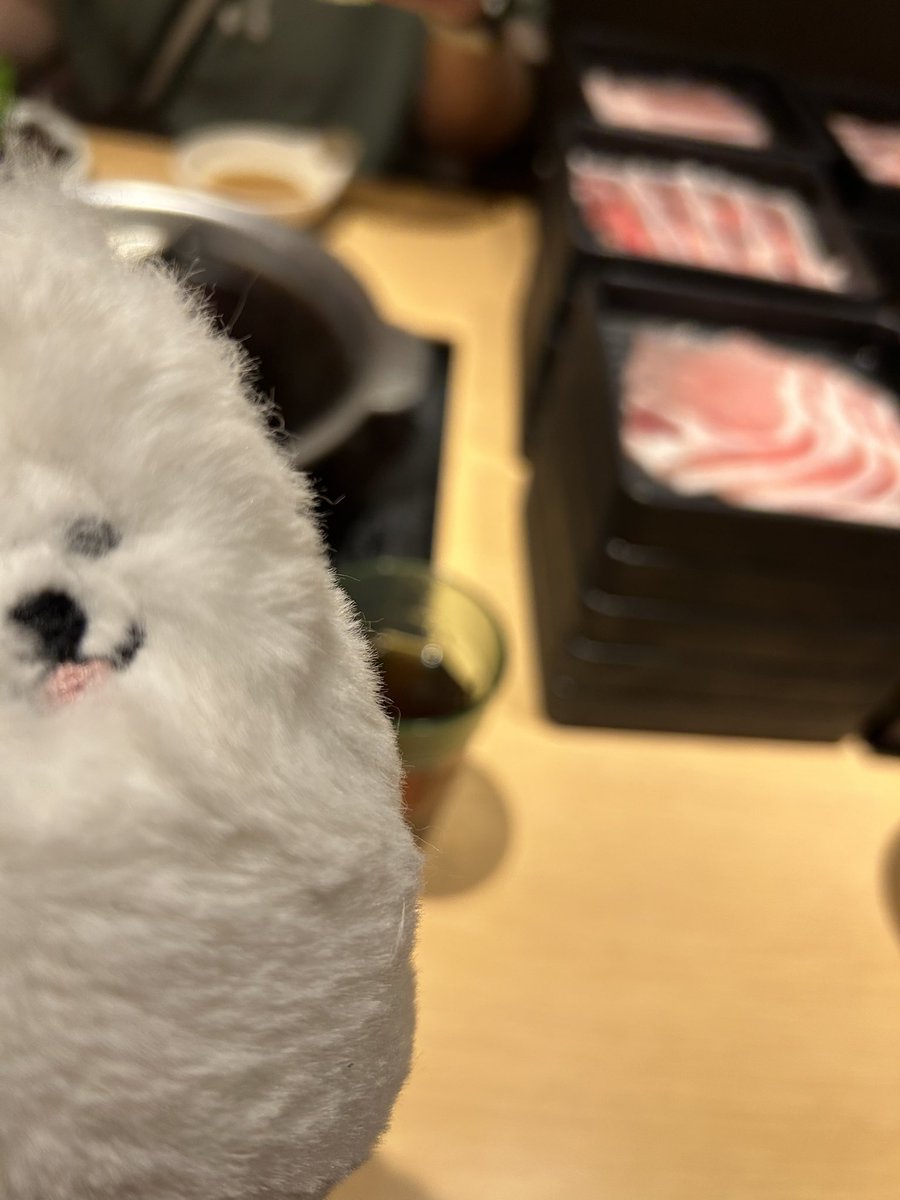 daifuku_umaizoo's tweet photo. 雫たん(@5429cos_245 )とデートだよー♡死ぬほどしゃぶしゃぶ食った(*°∀、°*) https://t.co/MK8Dg4sPxO