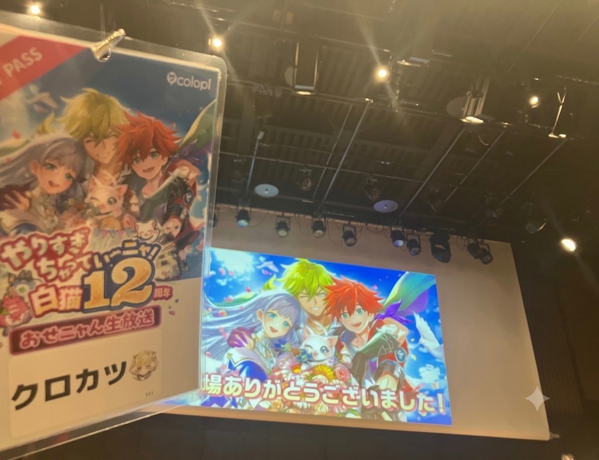 kurokatsu_wcat's tweet photo. お疲れさまでした！
また次の機会に
スイッチ版発表時のどめよきすごかった https://t.co/ENQBnbFKMA