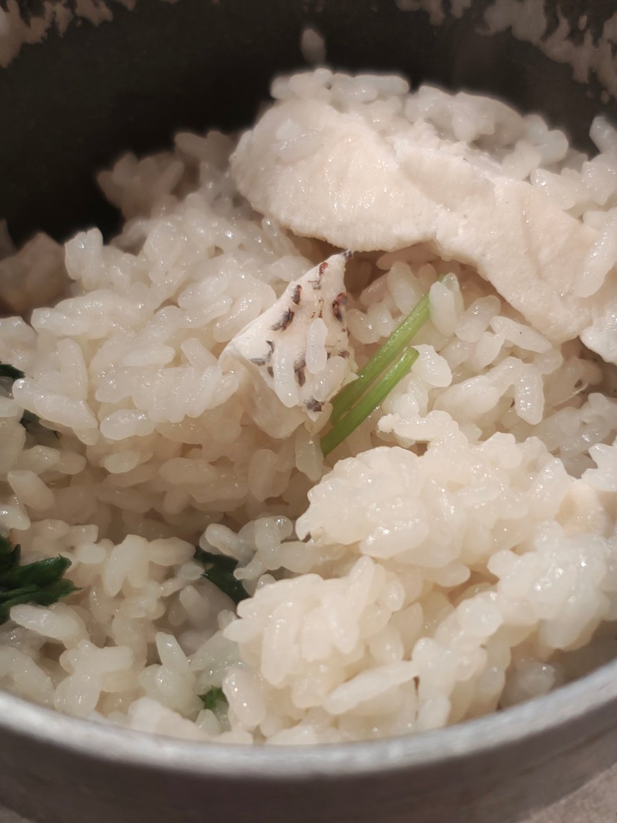 p_h_game's tweet photo. 給水前に食べてた龍神丸の鯛めしだか炊き込みご飯だか（メニュー名うろ覚え） https://t.co/gr0LhZ3bAj