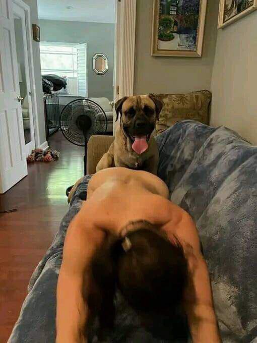 sashaknottv14r's tweet photo. Welcome to the home 🏡 of Zoo Vids and all taboo stuff clips 🖇️📦🥰
https://t.co/Hn7PQcSfsy

#dogsex #zootopiansfw #zoo
#zoophiletwt #zoophilia #zoophile #zooprideisvalid #zoophilesarevalid #zoophiletwt #trendingshorts https://t.co/6q3rudoWvV