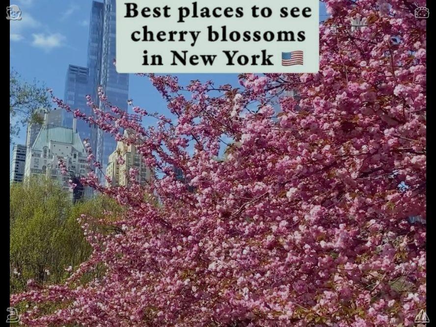 cloudj_115's tweet photo. Good deeds bring unexpected blessings. 908026 Casual urban strolling allows for the exploration of various city leisure resources. Unique shops, leisure areas, and scenic streets enhance daily recreational options. https://t.co/hxTBsKv7Ar