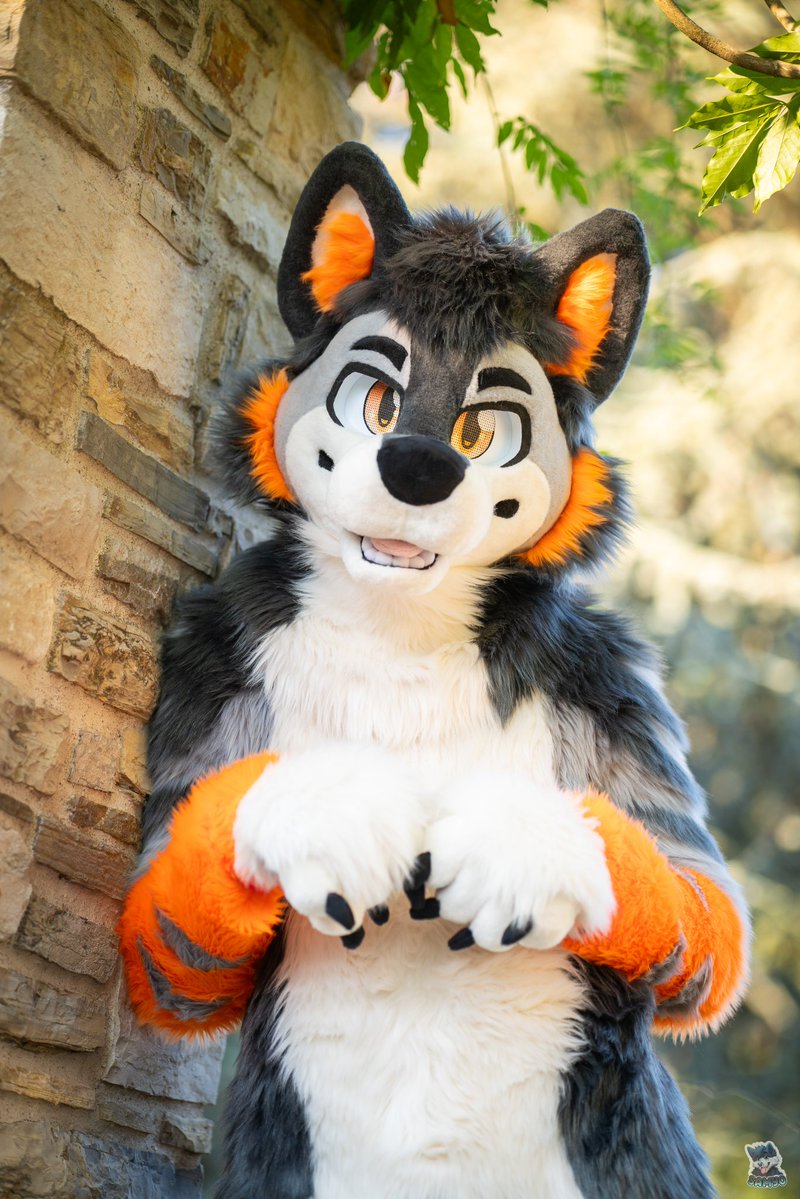 Arko floof tweet media