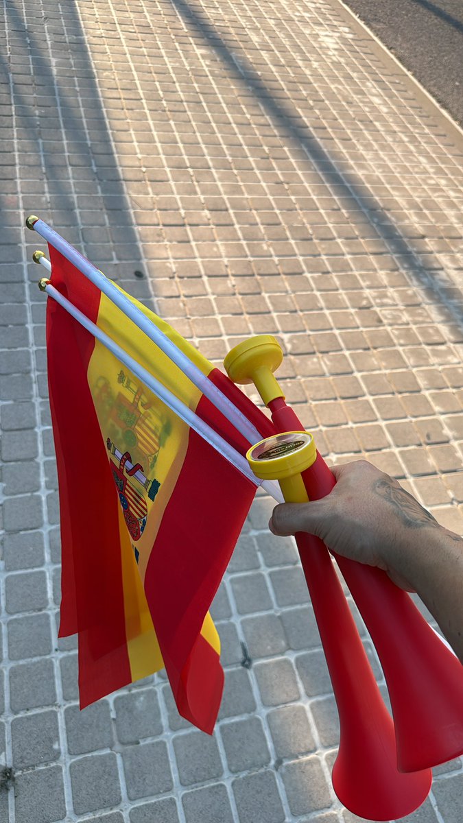 TridentedeVbar's tweet photo. nuevo vídeo esta tarde noche , te lo vas a perder!? que viva españa y mikel merino jdr!! https://t.co/x9Gak18b0v