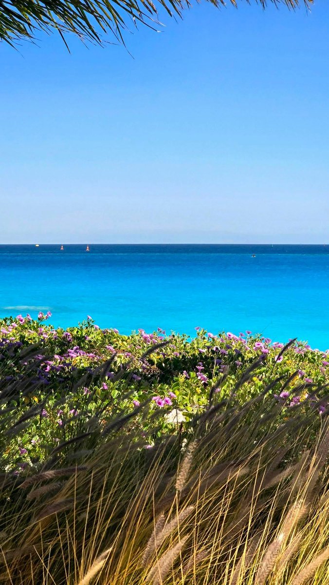 MaraHeliora's tweet photo. Find your paradise beneath the sun, where the blue meets calm and yoga brings inner peace... Breathe in the ocean breeze, soak up the sun's rays, and let your soul unwind...☀️🌊🧘🏼‍♀️ https://t.co/B3D6T9yOkb