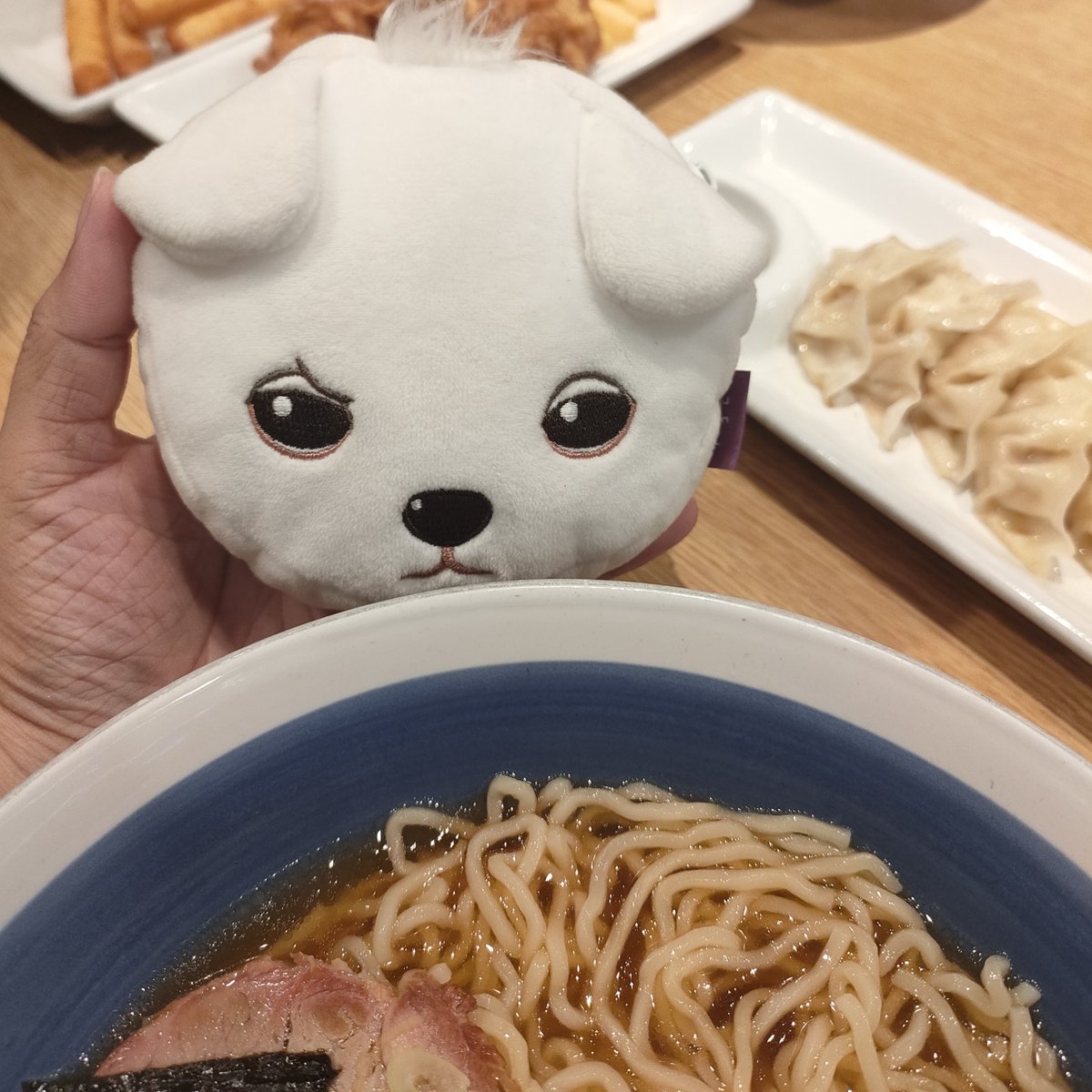 ∩∩ (｡ ˡ ˡ )=🩷 /つ⊂ ---🍏🎸🐶---