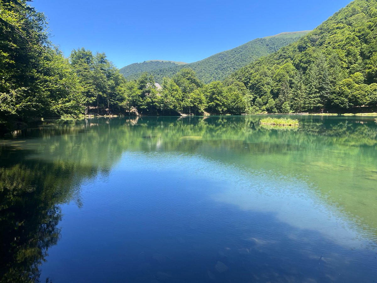 jeanlucmartinet's tweet photo. #BaladeSympa au lac de Bethmale dans l’#Ariège, une perle au milieu de la forêt https://t.co/81KBmLoRAt