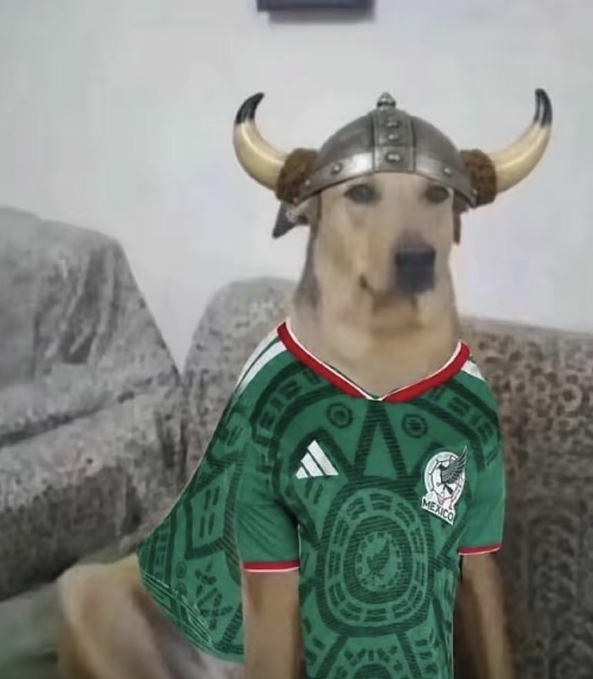 KeV 🇲🇽🇵🇹🇺🇸🇳🇴 tweet media