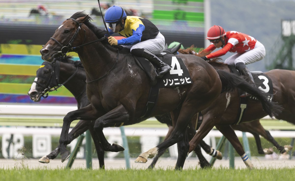 2026.7.11 福島競馬場 ゾンニッヒ × 荻野 極 騎手