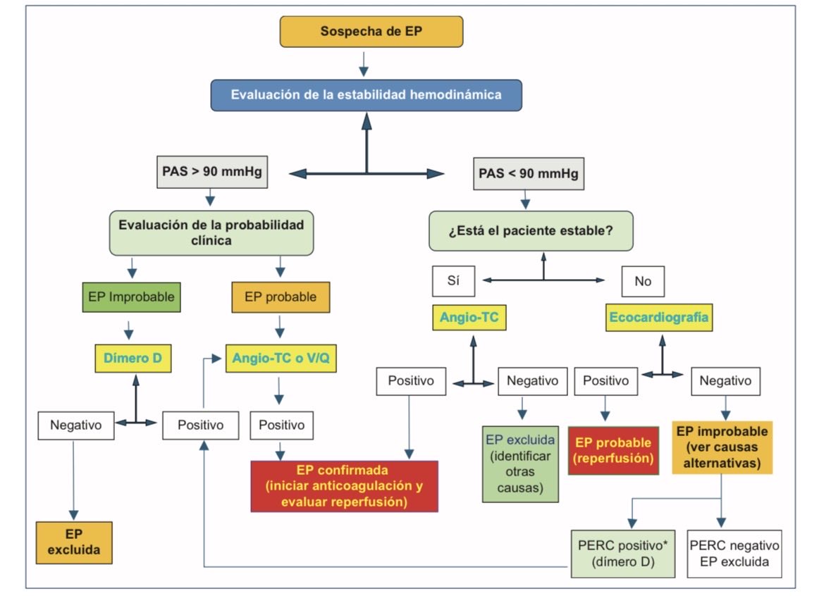 EmergenciasSiac's tweet photo. 🆕 Ya disponible Consenso SIAC sobre Embolia Pulmonar, elaborado por el Consejo de Emergencias y Cuidados Críticos Cardiovasculares.
📖 Recomendaciones actualizadas para el diagnóstico y manejo de la EP.
🔓 Acceso libre:
https://t.co/2I3HKLrGI0
#EmboliaPulmonar #SIAC #Cardiología https://t.co/ahoUjE2KEL