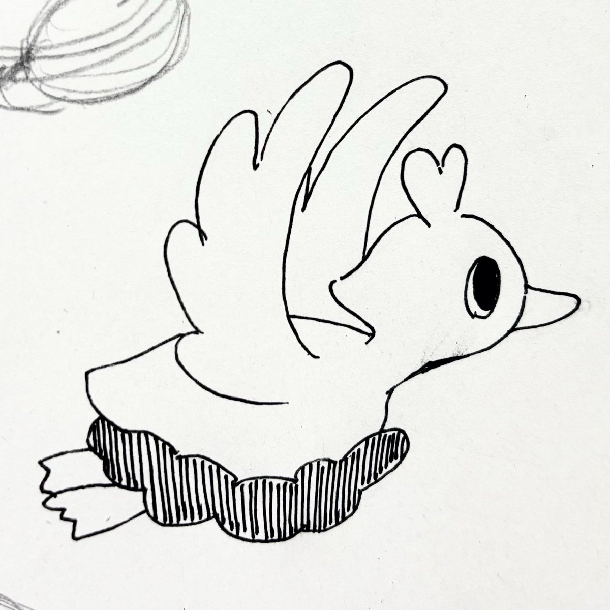 aopajaro's tweet photo. 本日のコアルヒー https://t.co/Dh5TFxPkzQ