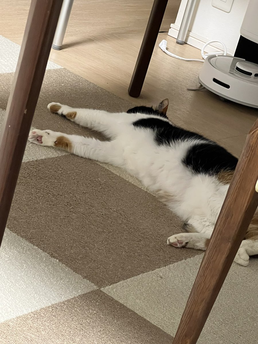 03typef's tweet photo. のびた https://t.co/Ws3pzLvgkf