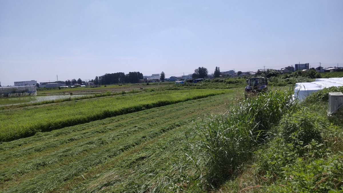 vanvan200cc's tweet photo. 天気良くなったので2番草🌿スタート🚜☀ https://t.co/2leD2ssAR1