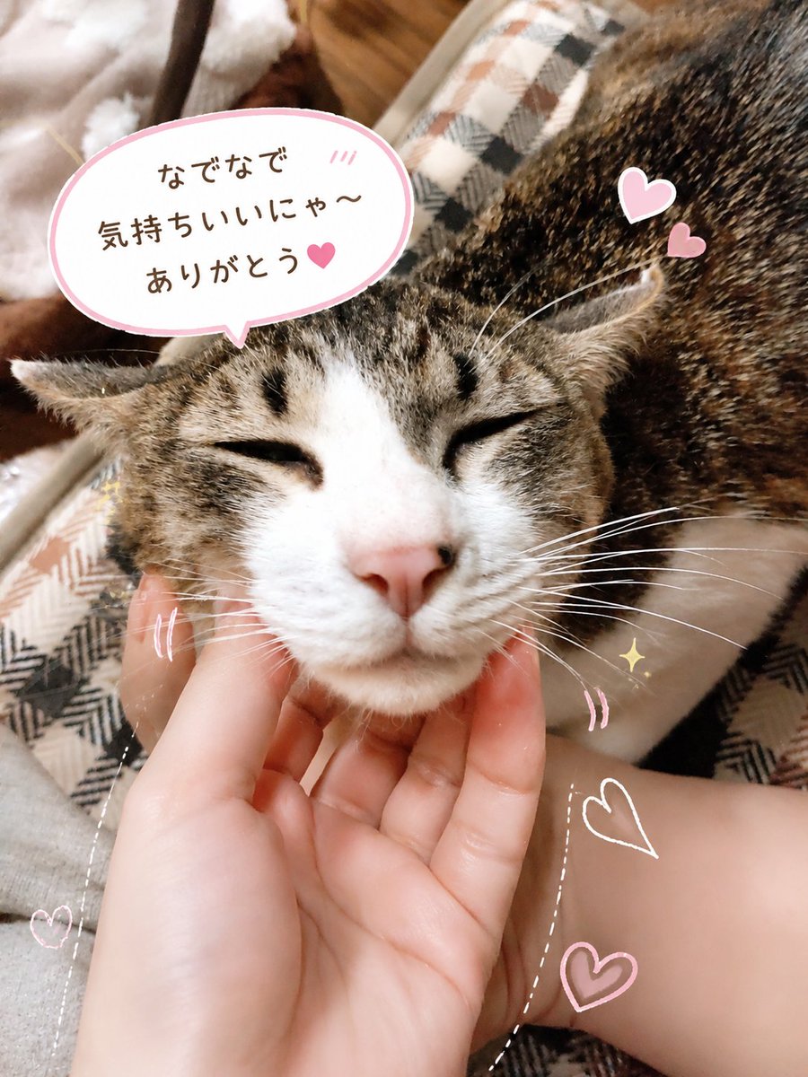 satou_0516's tweet photo. うちの相方が作ってくれた🥰
炭治郎、強く生きようね。
仲間は沢山いるんだから(*´³`*) ㄘゅ💕
 #炭治郎
 #頑張っておっきくなろ 
 #味方は沢山いるよ 
 #もうひとりぼっちにはさせないからね https://t.co/hFvN04vtti