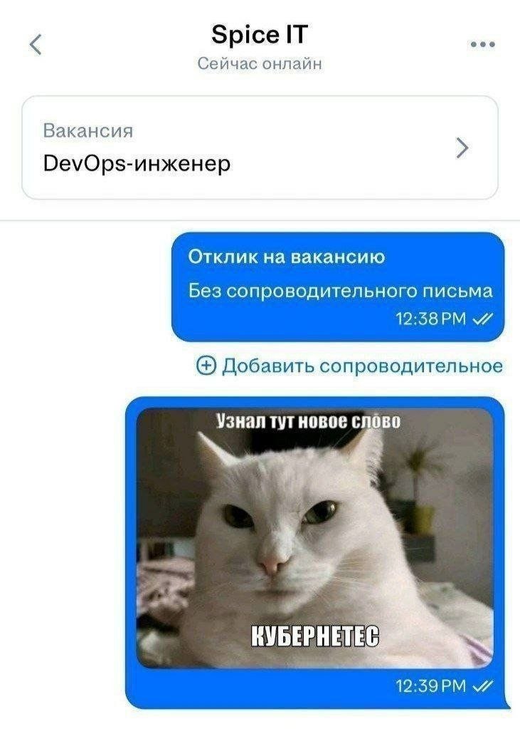 Кот с ушами tweet media