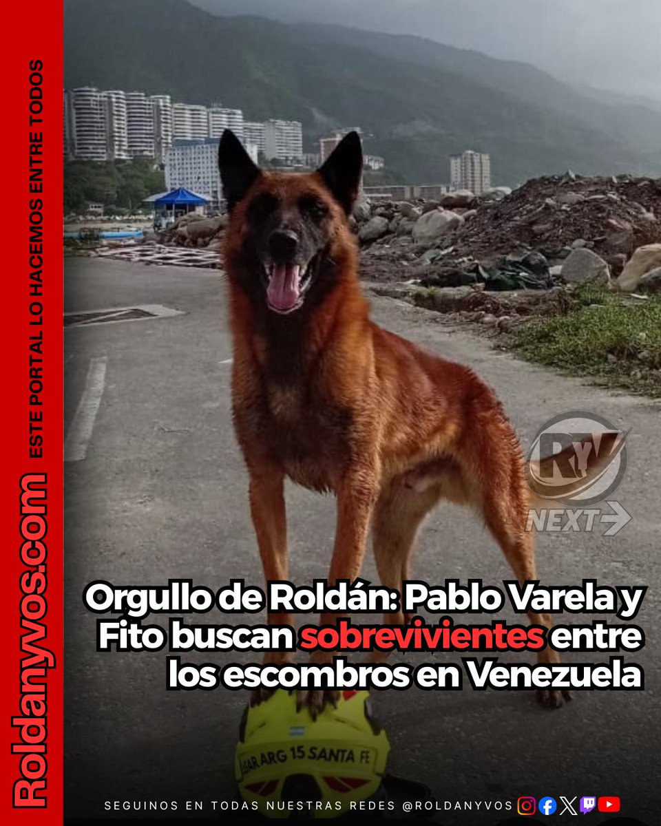 Roldanyvos's tweet photo. 🚒🐕🦺 Orgullo de #Roldán
El bombero voluntario Pablo Varela y Fito, su perro de la División K9, trabajan en La Guaira, Venezuela, integrando la Brigada USAR de la Federación Santafesina de Bomberos Voluntarios
#Roldán #BomberosVoluntarios #DivisiónK9 #USAR #Fito #PabloVarela https://t.co/HxNaIPW8Sq