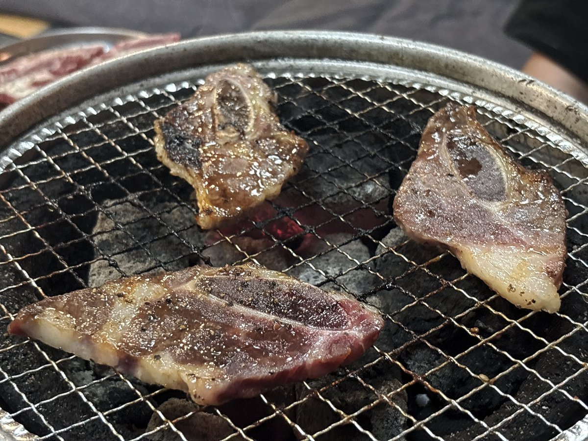 ysk_knd's tweet photo. 偶然近くに居たから的な焼肉の会

久々のワニのお肉を頂いた🍖 https://t.co/wLxfjDTV7Z