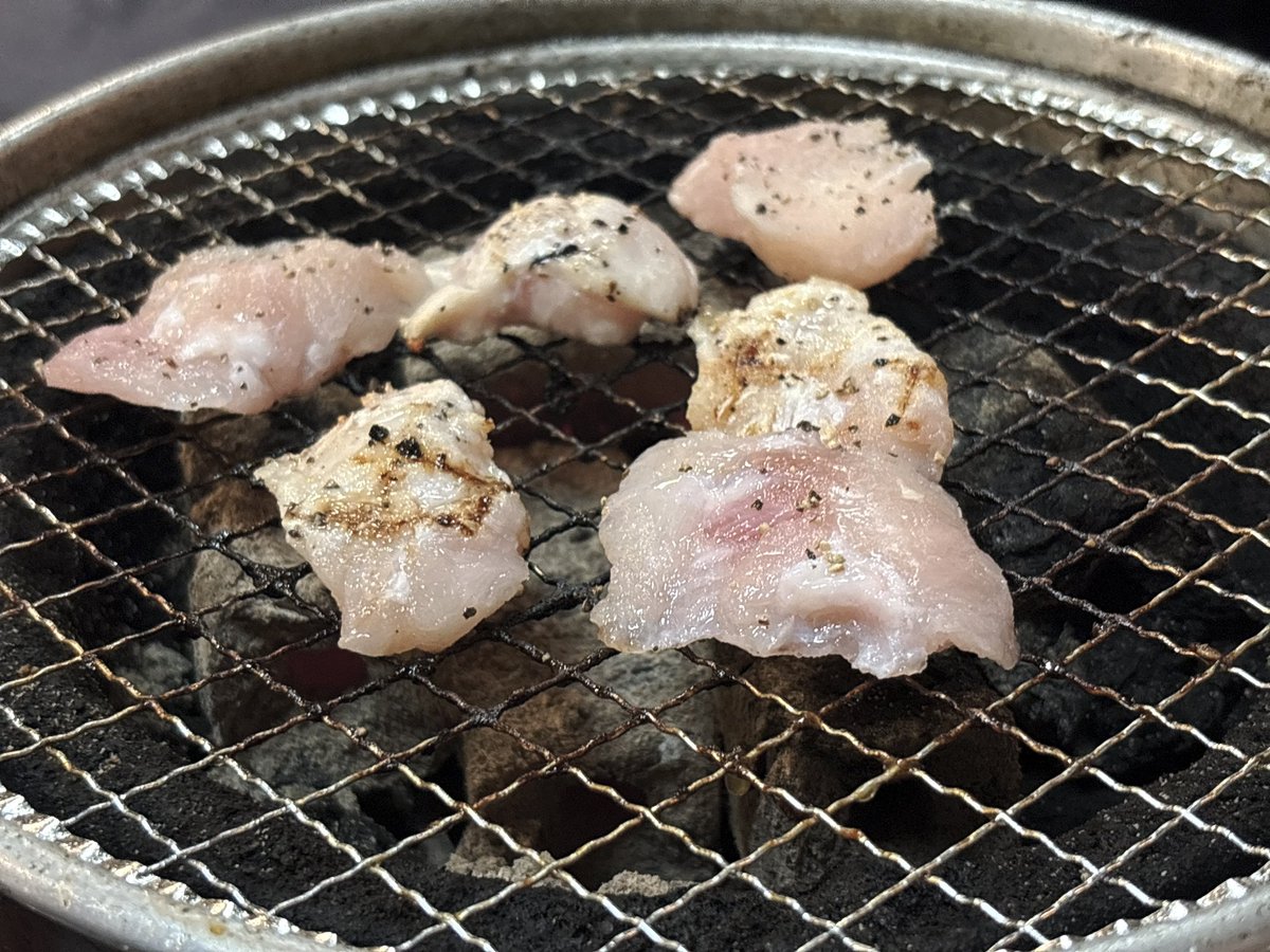 ysk_knd's tweet photo. 偶然近くに居たから的な焼肉の会

久々のワニのお肉を頂いた🍖 https://t.co/wLxfjDTV7Z