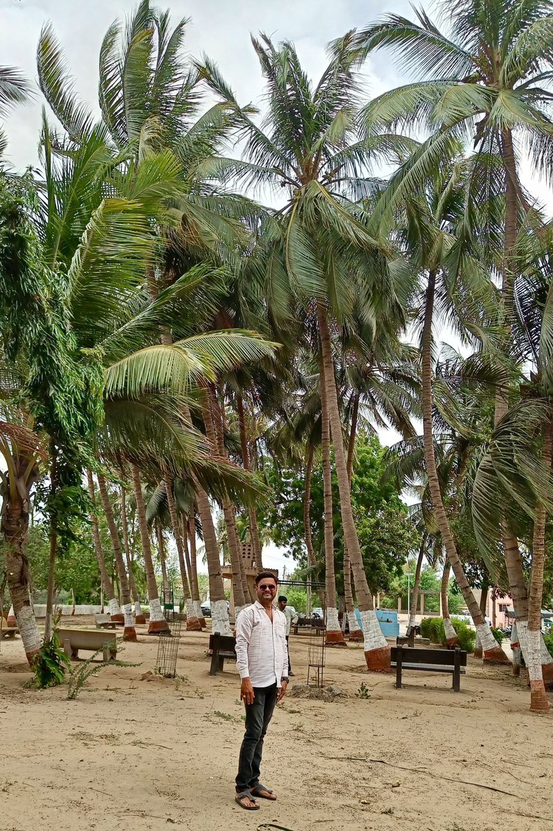 DadaMatang's tweet photo. #matang 
#maheshwari 
#meghwal
#treeloversforlife 
#TreeCare 
#tree
#treehouse 
#trees
#treephotography
#TreePlantation
#beautifultrees
#naturelovers 
#naturephotography 
#lovenature 
#lovetrees 
#treelove
#kutch
#mundra
#gujarat https://t.co/6tZ67vGgks
