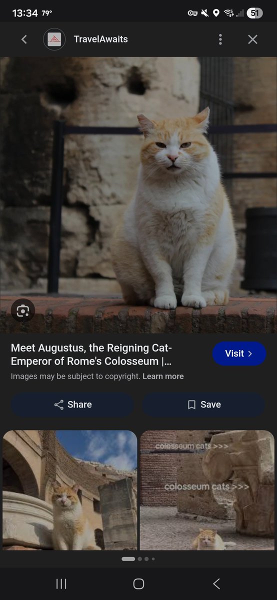 Augustus tweet media