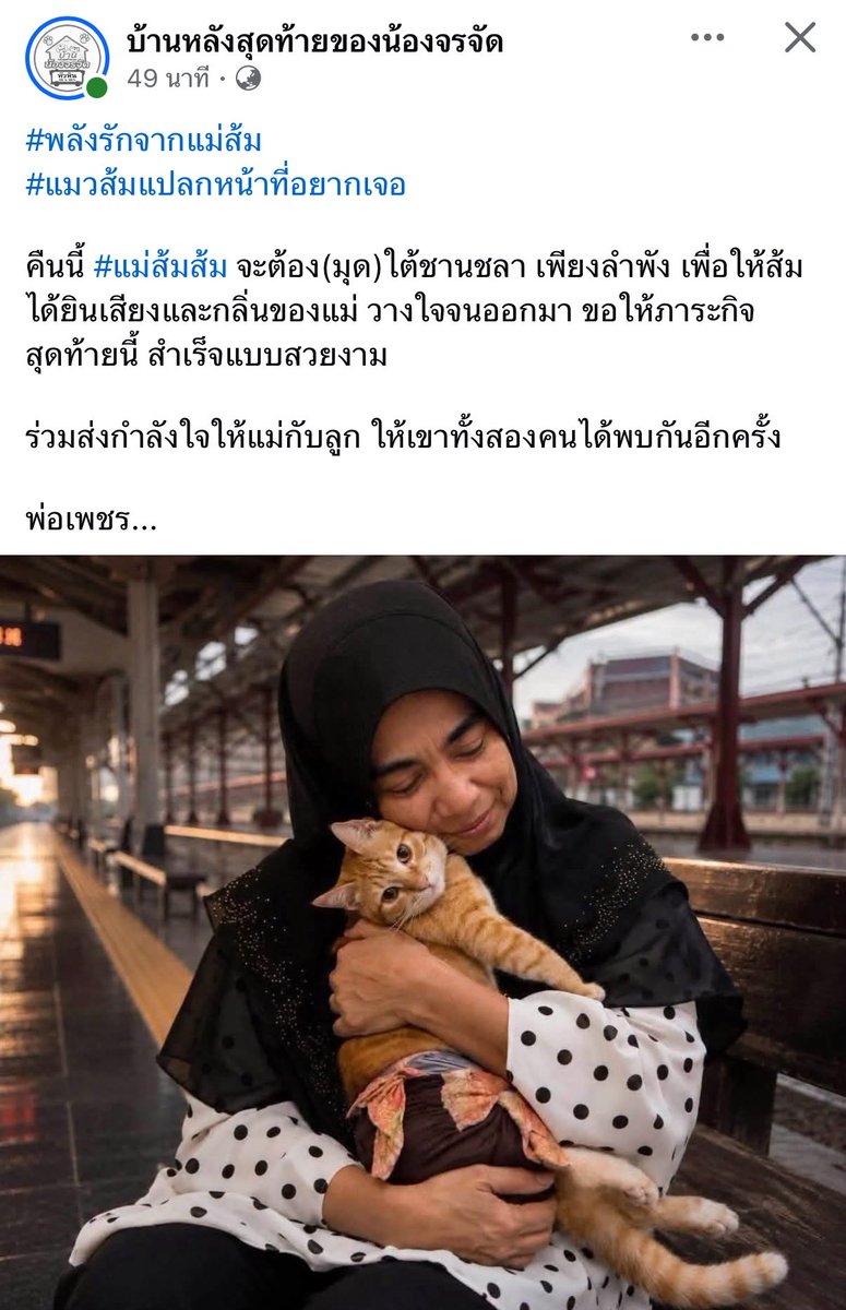 yskeyko_'s tweet photo. อัพเดทล่าสุดจากเพจ : บ้านหลังสุดท้ายของน้องจรจัด แจ้งว่าภารกิจคืนนี้ แม่ของน้องสีส้มจะต้องมุดช่องใต้ชานชลาเพียงลำพัง เพื่อเข้าไปร้องเรียกหา สีส้ม ด้วยตัวของแม่เอง ขอเป็นกำลังใจให้แม่ของน้องสีส้ม และพี่ๆเจ้าหน้าที่ทุกคนเลยนะคะ

สีส้มออกมาได้แล้วลูกเอ้ยยย ใจจะขาด🥺🙏🏻
#แมวหายบนรถไฟ https://t.co/HwWi3uad1C