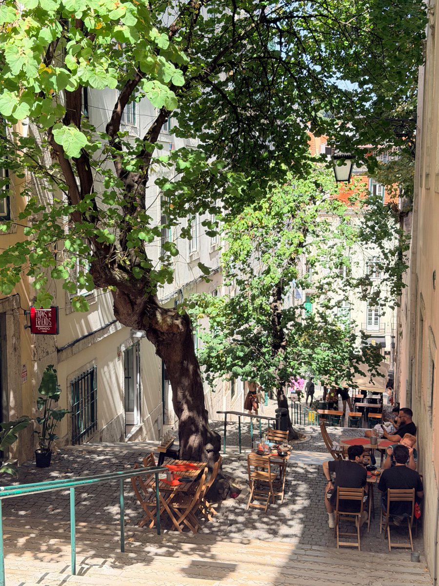 frank_smith1111's tweet photo. Europe figured out concessions decades ago. Every park has a kiosk: espresso, pastry, maybe a spritz or a beer at 6pm. Small operator pays rent, city gets revenue, park gets foot traffic and eyes on the grass. Everyone wins.

SF has 230+ parks and almost none of this. Dolores Park froze a Blue Bottle cart permit over community outreach complaints. Coit Tower took years of hand-wringing over a removable food kiosk (unsurprisingly: Peskin territory). Meanwhile we wonder why maintenance budgets are tight and parks feel empty at 7am.

Give me a coffee kiosk in every major park. Let the concession help pay for upkeep. Let foot traffic take care of public safety. Create a third space — a square where people can meet instead of shouting at each other on social media. I’ll die on this hill.

Photos from Lisbon, Portugal 🇵🇹