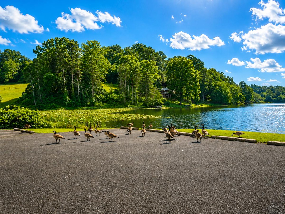 Ohio State Parks & Watercraft tweet media