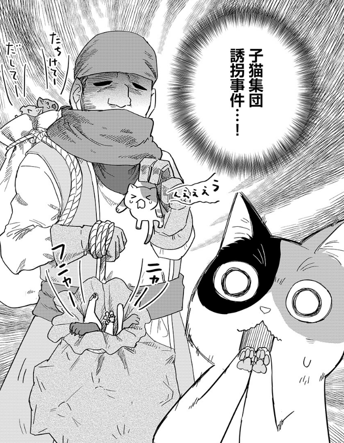 猫と竜 ミケミケのねこねこギルド 6話更新です！ ミケミケは行方不明