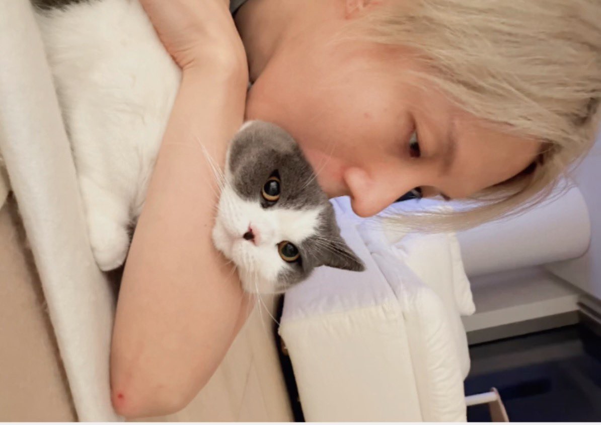 pawstaem's tweet photo. taemkkoong core https://t.co/VroKqFzvwV