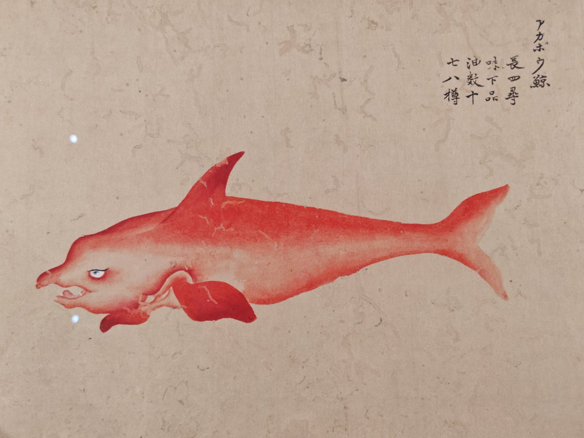 kurooribe's tweet photo. 栗本丹洲の鯨図とても好き。やる気なさそうなクジラが多すぎる。 #東博 https://t.co/4V3PGtRIw4
