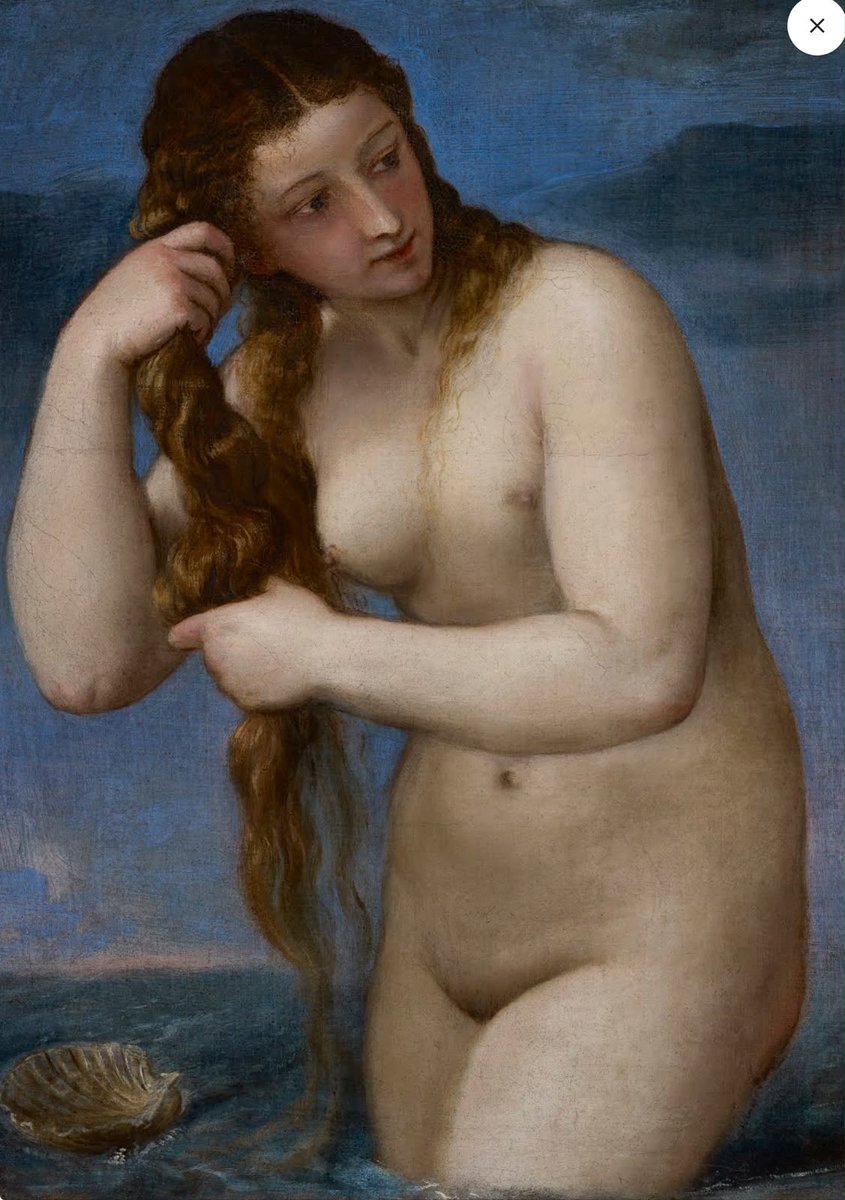 mhcoutinho_48's tweet photo. Ticiano ( Italian, c. 1473/90 -1576): "Venus Anadyomene". c. 1520. https://t.co/8LUD9U9a6P