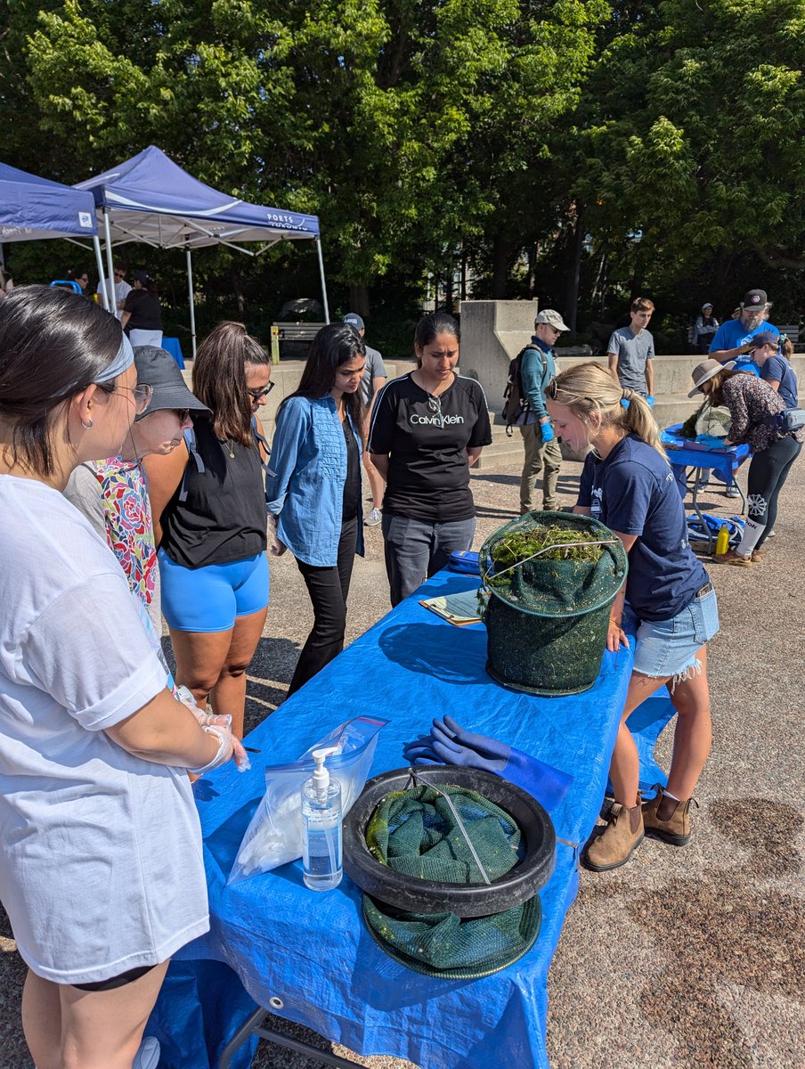 UofTTrashTeam's tweet photo. Ever wondered what ends up in a #TrashTrap? Join our #FightingFloatablesTO team on Sat July 25 for the annual Trash Trap Dive! Learn how the anthropogenic debris we collect is sorted &amp; how this data informs ways to keep floating litter out of #LakeOntario. https://t.co/gkwwzqEgDu https://t.co/BqgmYsLsZU