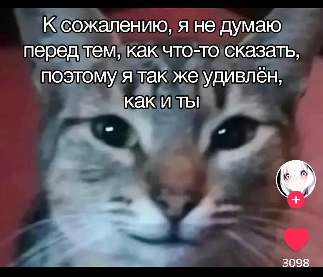 Merchik1627's tweet photo. Как будто настроение У С https://t.co/4iYrdqRcPk