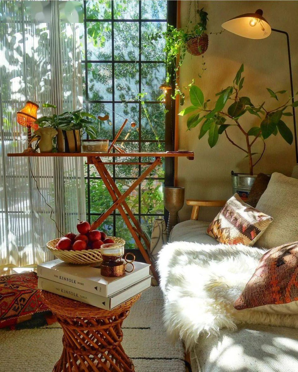 ScottieCadzx's tweet photo. [Moved to a sunlit small apartment today! From cramped dorm room to my own little space—hugs and new beginnings are hitting so different. No more shared fridge chaos, only my favorite plant corner here. ]， https://t.co/6VnVzpNidT