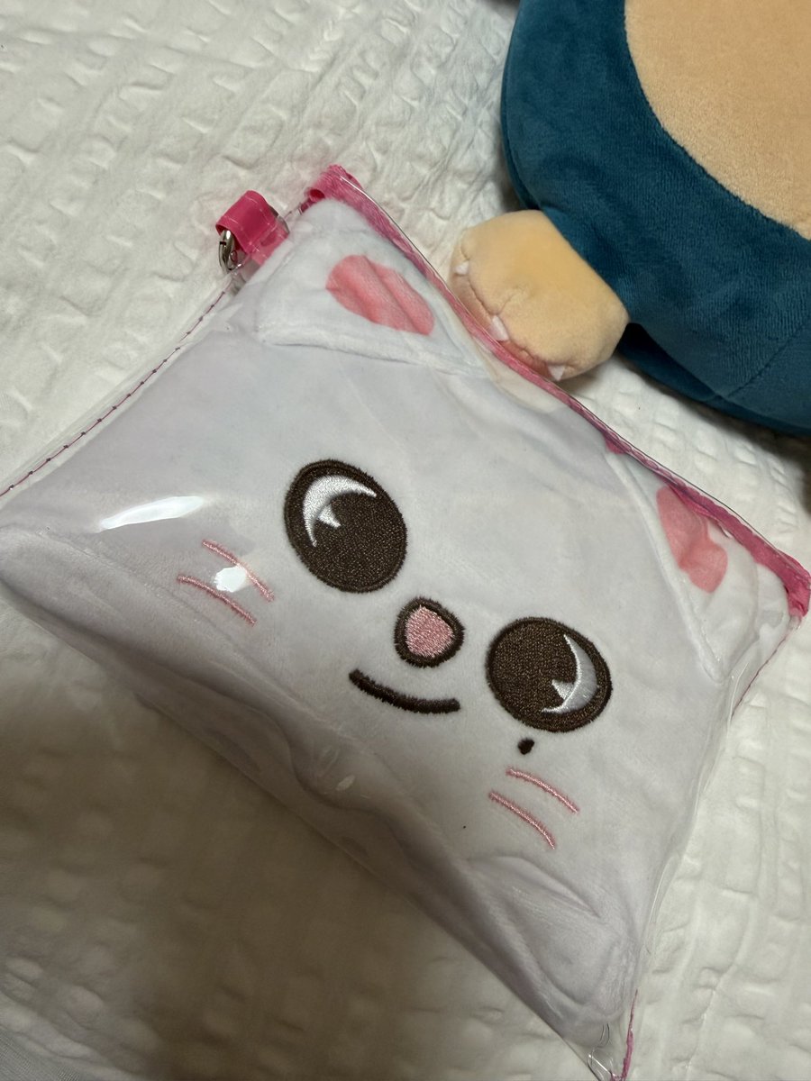 yucooooooo7's tweet photo. SNSで見て欲しかった、SKZOOポーチ入れのポーチ♡
汚れ対策もできるし、中の仕切りをジニレットの中に入れて使いやすくなった😊

交換していただいた、皆様ありがとうございます😊 https://t.co/ZGSzOMhZtv