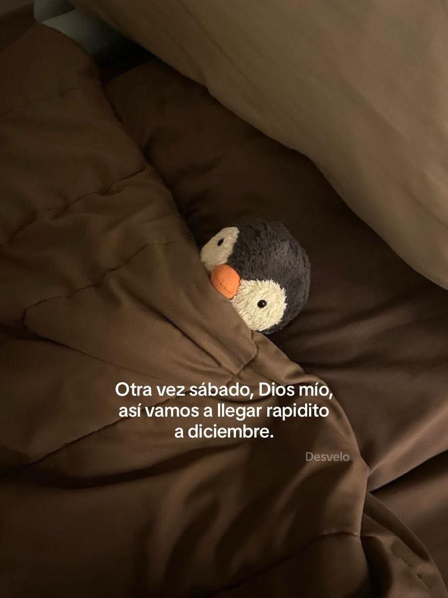 textosnublados's tweet photo. https://t.co/rizbkFOv8j