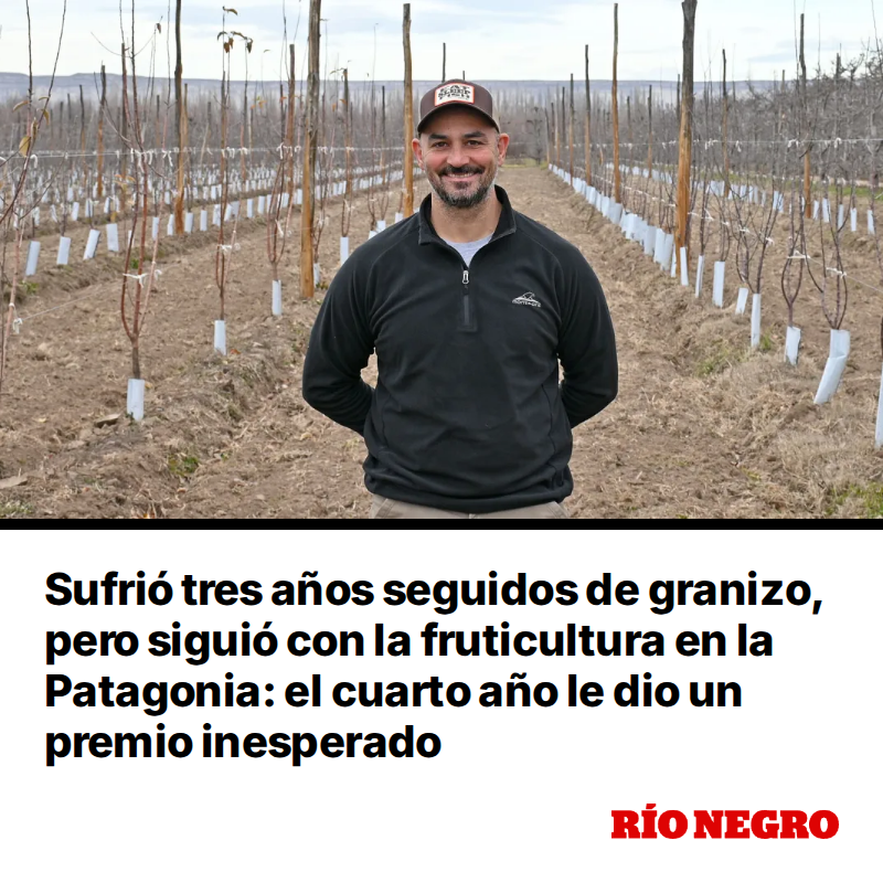 rionegrocomar's tweet photo. Como la Selección Argentina que el martes parecía eliminada y terminó dando vuelta un partido imposible, Gonzalo Laino atravesó tres años consecutivos de granizo, pero no dejó de creer en la fruticultura del Alto Valle. Cuando decidió seguir apostando por la chacra familiar, el cuarto año le tenía preparada una sorpresa que cambiaría su historia. https://t.co/MyLj1x9Elr