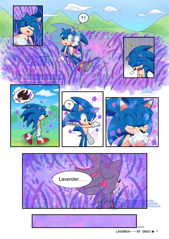 GHOST_gesite's tweet photo. #sonadow 
#SonicTheHedeghog 
#ShadowTheHedgehog

💙↑/🖤↓
《Lavender》
——Shadow always smells like lavender, and Sonic knows why.

I did something wrong while posting,I just realized it now!so I deleted and repost this again.Sorry! https://t.co/mQMcCCIr0T