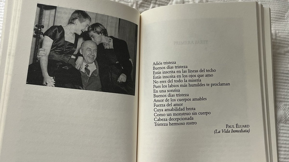 elegance_du_h's tweet photo. Buenos días, tristeza https://t.co/IlYBYvO2sx
